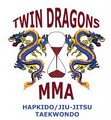 Twin Dragons Martial Arts logo