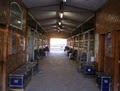 Twisted Tree Farm, Inc, Training Stables image 8