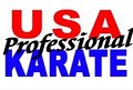 USA Professional Karate Studio logo