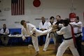 United Fighting Arts Institute, LLC image 6