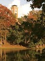 University of Texas at Tyler image 1