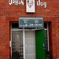 Urban Dog Playcare image 4