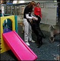 Urban Dog Playcare image 7