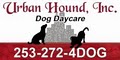 Urban Hound Dog Daycare logo