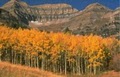 Utah Valley Convention and Visitors Bureau image 10