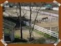 V C Farm: Valle Crucis Cabin Rentals and Horseback Riding image 2