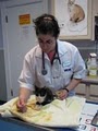 VCA Windham Animal Hospital image 5