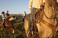 Vail Horse and Pony Camp image 6