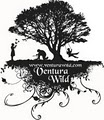 Ventura Wild logo