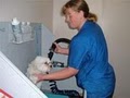 WagVille Dog Care image 2
