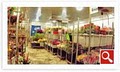 Walter Knoll Florist image 6