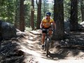 Wanna Ride Tahoe Bike Shuttle & Tours image 2