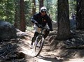 Wanna Ride Tahoe Bike Shuttle & Tours image 3