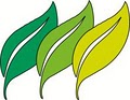 Warren Lawn & Landscape LLC logo