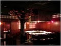 Wasabi Japanese Steakhouse image 4