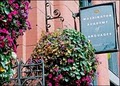 Washington Academy of Language image 4