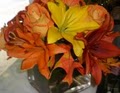 Washington DC Local florist Tropicals/orchids/spring Flowers Sunday  Delivery image 4