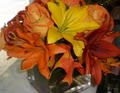 Washington DC Local florist Tropicals/orchids/spring Flowers Sunday  Delivery image 4