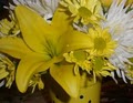 Washington DC Local florist Tropicals/orchids/spring Flowers Sunday  Delivery image 5