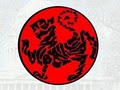Washington DC Shotokan Karate Club Inc image 1