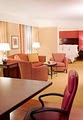 Washington Dulles Marriott Suites image 10