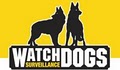 Watchdogs Surveillance, Inc. CCTV image 2