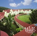 Welk Resort Branson image 3