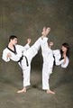 West America Tae Kwon DO image 3
