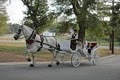 Whispering Winds Carriage Company, LLC image 5