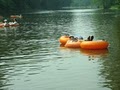 Wilderness Canoe Trips, Inc. image 3