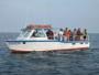 Wildwood Marina - Fishing Charters image 3