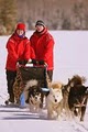 Wintergreen Dogsled Lodge, Inc. image 2