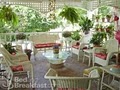 Wisteria Bed and Breakfast image 6