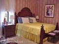 Wisteria Bed and Breakfast image 1