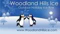 Woodland Hills Ice logo