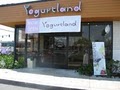YOGURTLAND HUNTINGTON BEACH image 5