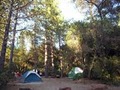Yosemite Pines RV Resort & Family Lodging image 9