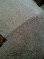 Zerorez Carpet Cleaning Dallas image 5