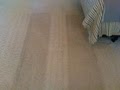 Zerorez Carpet Cleaning Dallas image 6