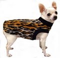anns small dog clothing image 5