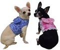 anns small dog clothing image 1