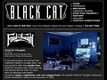 black cat image 2