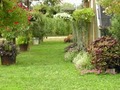 more specialty plants and landscaping image 1