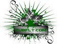 pubfly.com logo