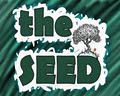 the seed image 1