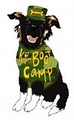 www.k9-bootcamp.com image 1