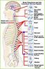 360 Chiropractic Wellness image 5