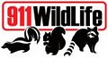 911 Wildlife image 2