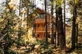 A Loon's Call (Hallweaver Rental Cabin) image 1