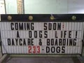A dogs Life Daycare and Boarding logo